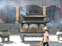 2009 China 1060